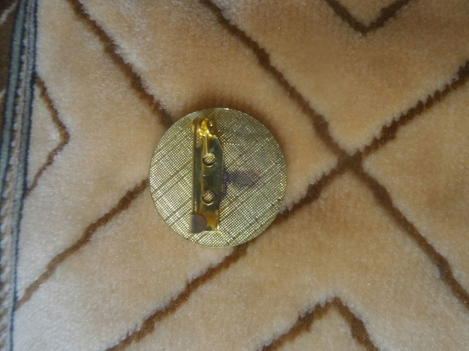 Новый значок Жас Улан.