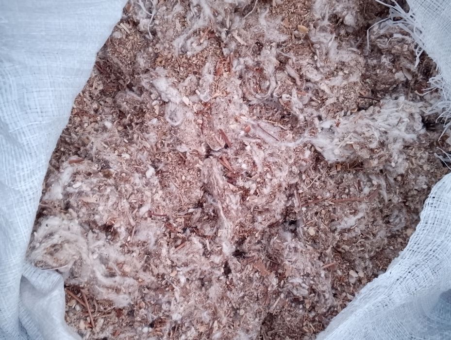 Chulug', (uluk , shulxa, chulqa) mol uchun yem