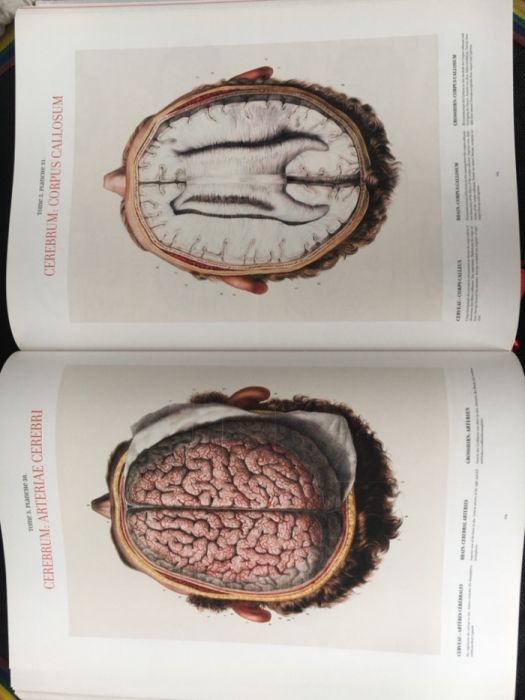 Atlas of Human Anatomy and Surgery / Medicina / Anatomie / Chirurgie