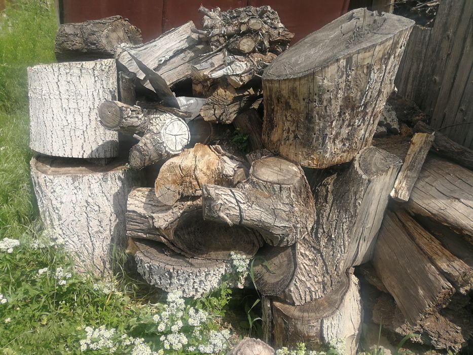 Отын. Ағаш. Дрова