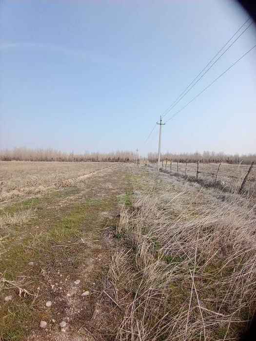 Костобе участок 10 Га