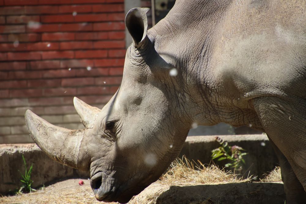 Обектив Tamron 18-400mm за Canon EF и RF