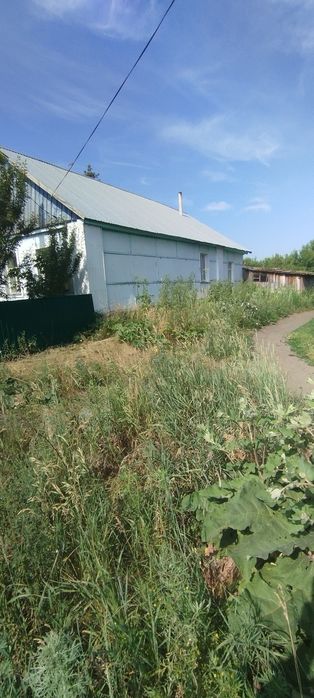 Продам дом село якорь