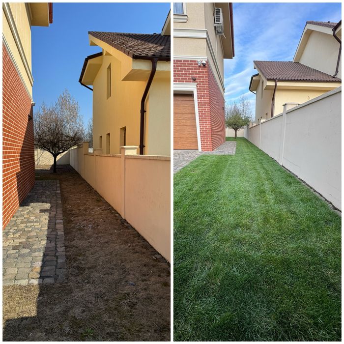 Amenjari Spatii Verzi Arad