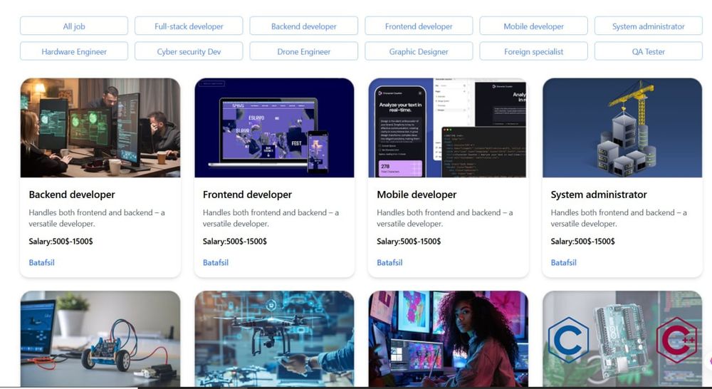 Web/Frontend Developer