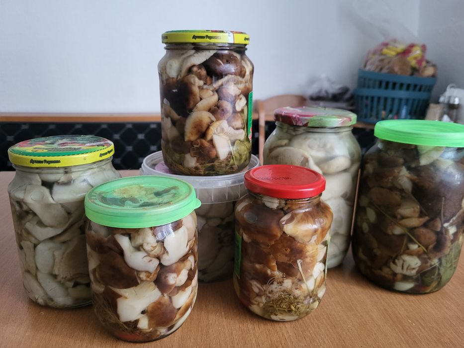 Продам грибочки Вали,Грузди