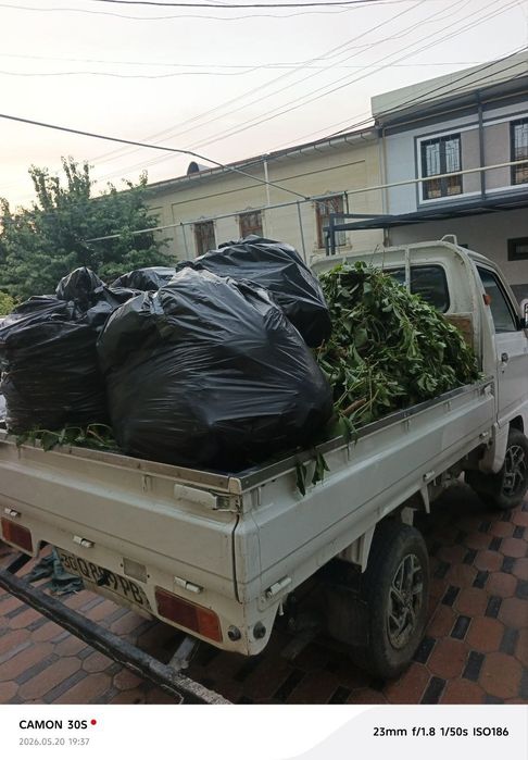 Строй мусир  мусир ташиш musir olib ketish