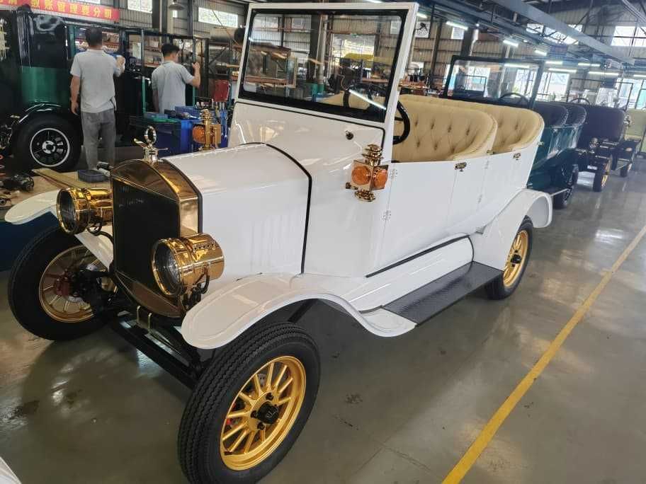 AUTO FORD T2 Full electric cu 5 sau 9 locuri
