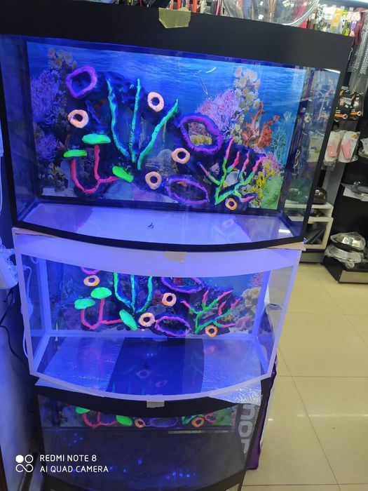 Akvarium Magazini Mirobod va Sergili