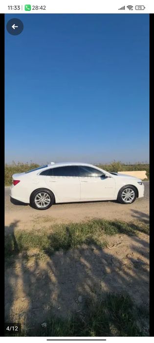 Malubu vikupga beriladi