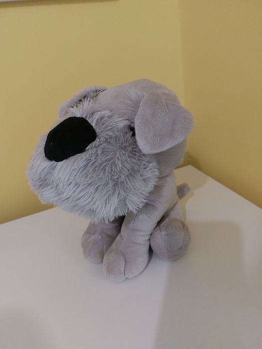 Плюшено кученце - Италия