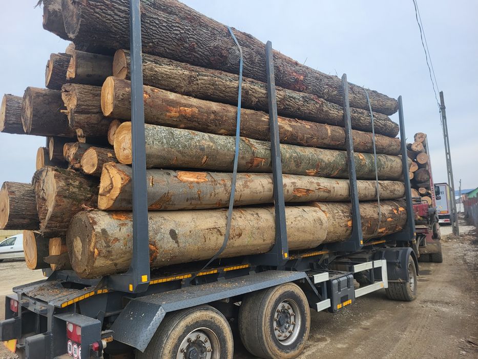 Lemn de foc fag si stejar, lemnul este și uscat