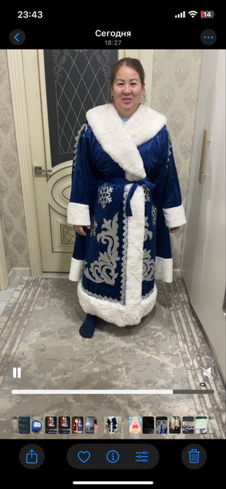 дед мороз и  снегурочка