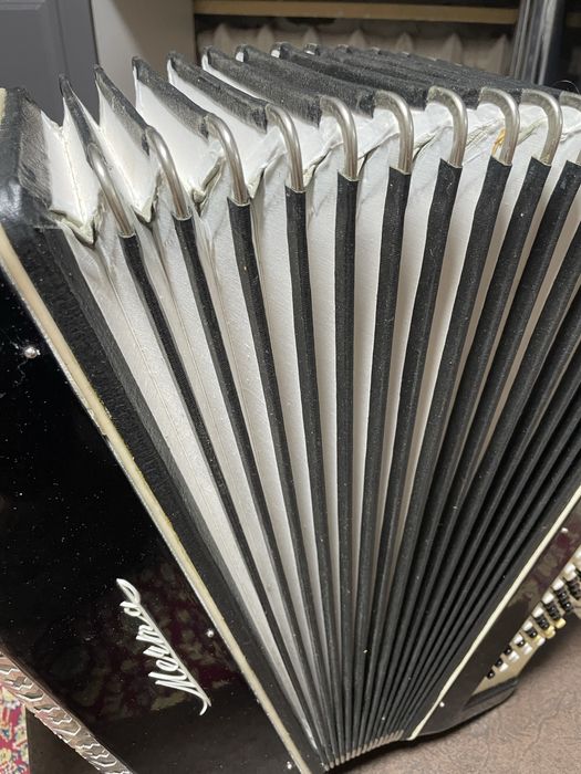 Баян «мечта» в идеале