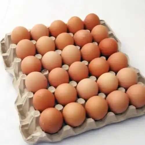 Vand oua de gaina de casa