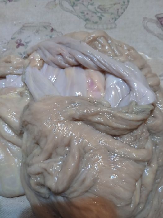 Продаю кишки коровьи и лошади