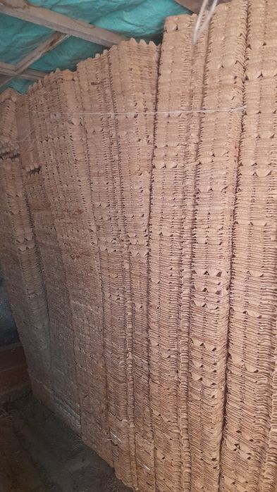 Ячейки тұқым жәшігі