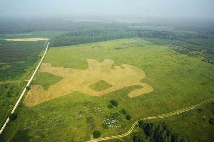 Наружная реклама. Рекламные и маркетинговые услуги. Граффити, шатры.