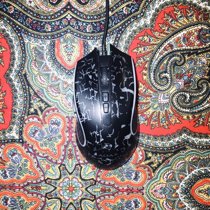 Две мишки AOAS и една настолна камера canyon