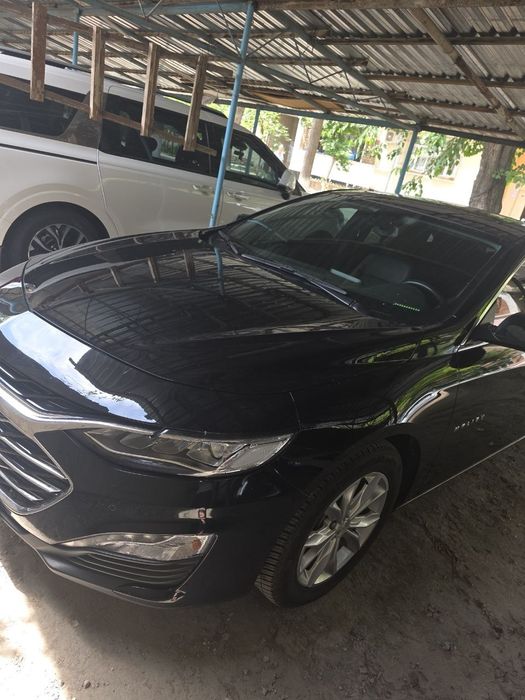 Malibu 2 Premier
