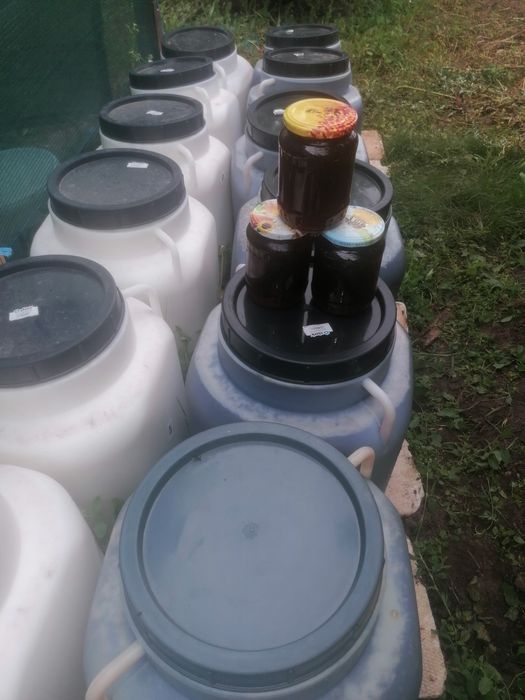 Vând miere BIO,  mană, poliflora, rapiță