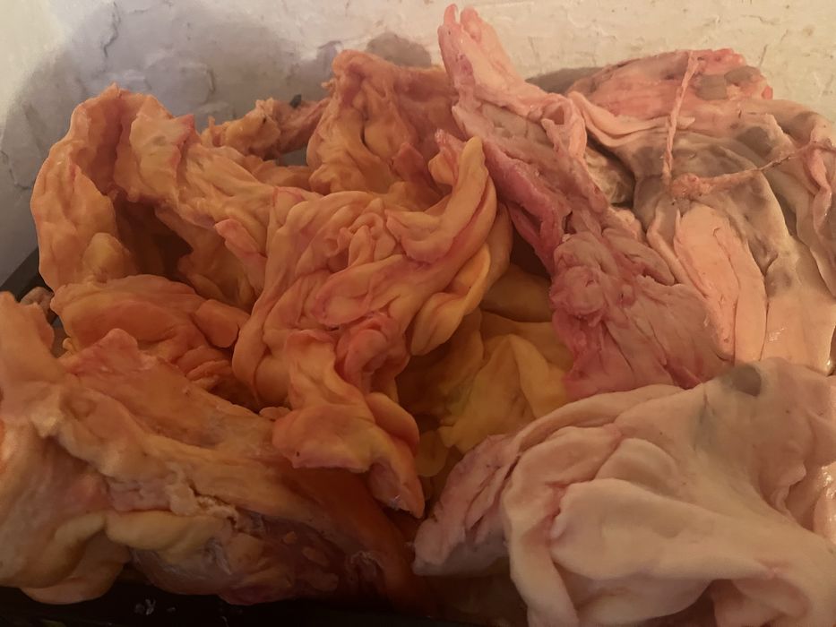 Карта,карын,жир конины