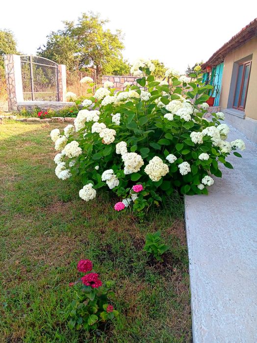 Къща под наем в Генерал Кантарджиево