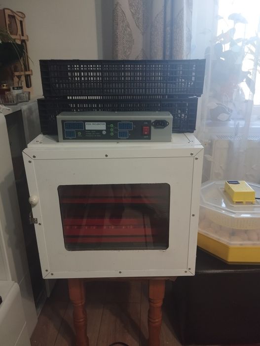 Vând incubator 72 de oua întoarcer automata