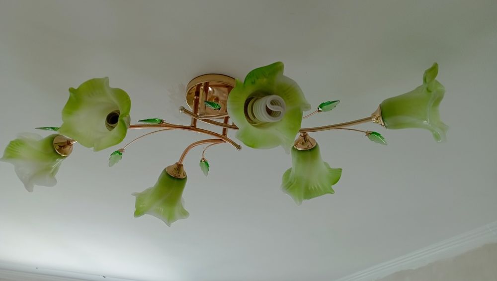 Люстра с 6 плафонами