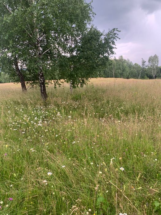 Vânzare teren intravilan 9200 mp