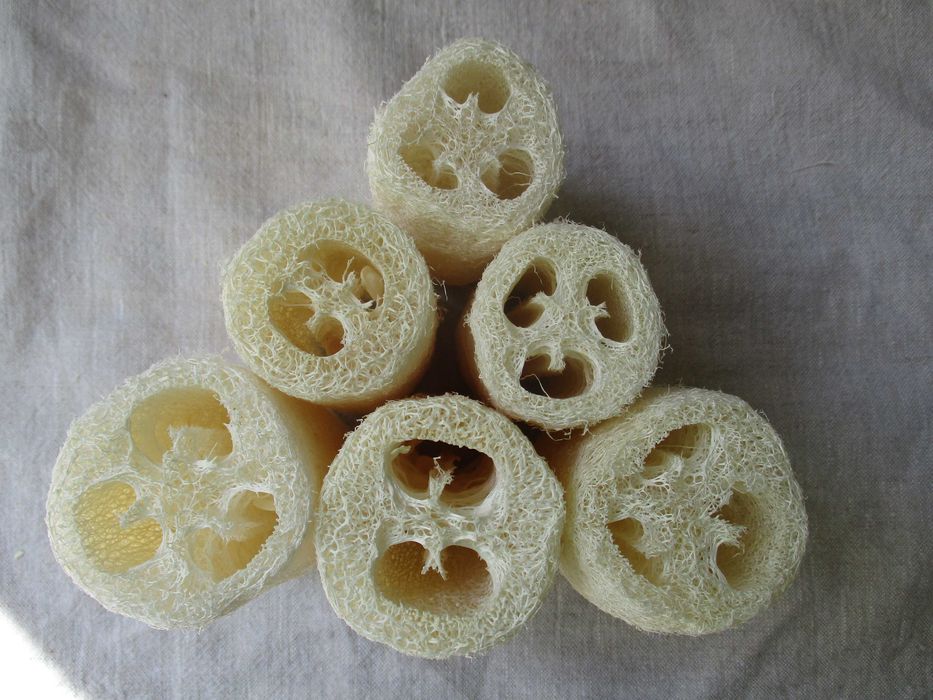 Loofah (luffa), 6 bucăți, noi