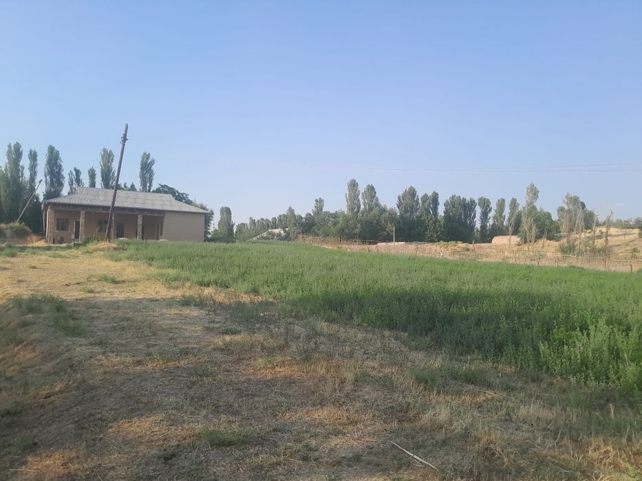 10 sotug er satiladi