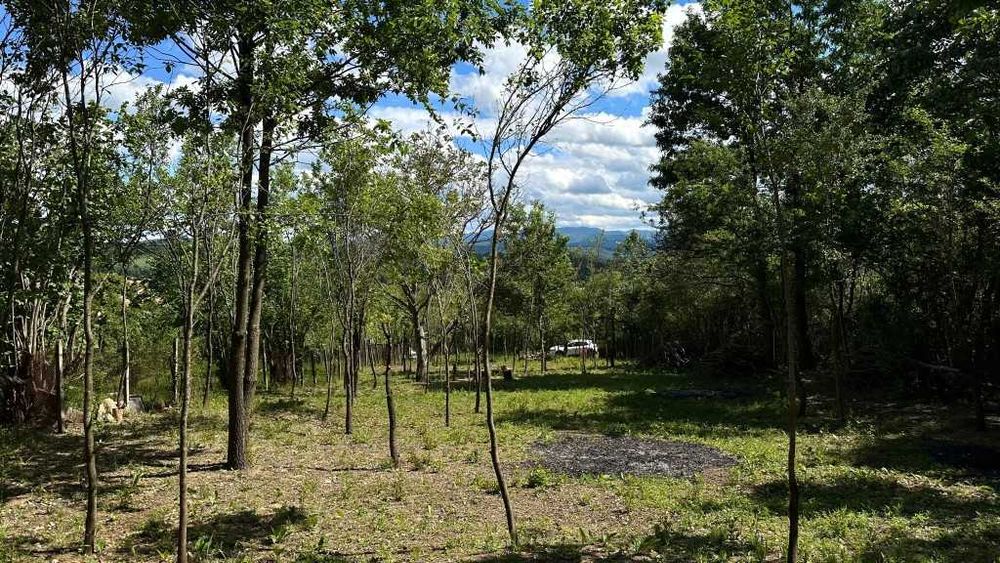 Продава се Парцел в с. Велковци, Област Габрово - 930 кв.м за 14 €/кв.м - Снимка #3