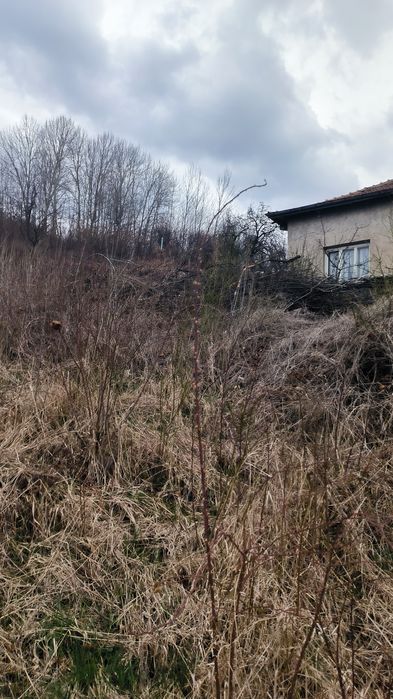 Продава се Парцел в с. Кралев дол, Област Перник - 625 кв.м за 41 €/кв.м - Снимка #3