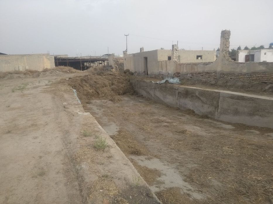 Молхона сотилади