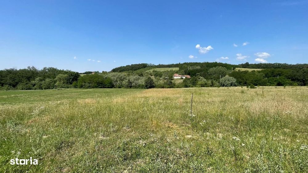 Teren 10.000 mp în Ceica – Oportunitate Excelentă de Investiție!