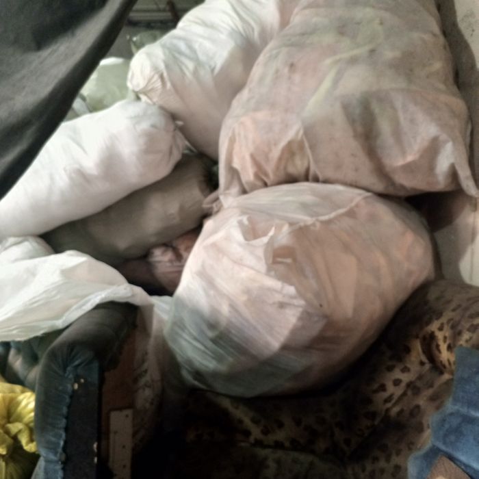 Parol va sintefon atxotlar