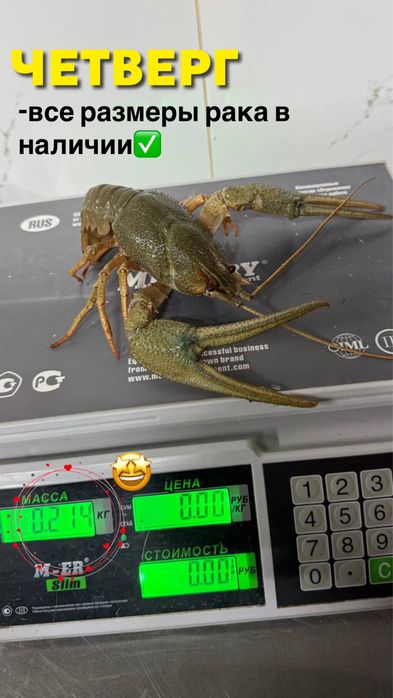 Раки и морепродукты