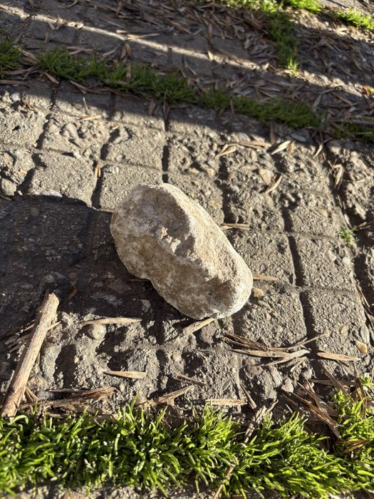 Уникален естествен камък – подходящ за декорация