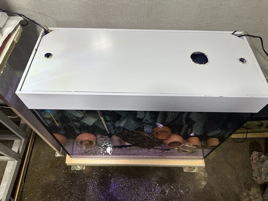 Akvarium Sotiladi 180 litr Ideal