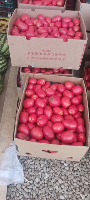 Rosii prunisoară