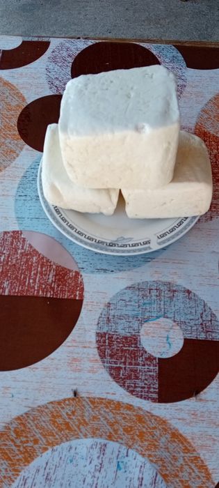 Branza de capra en-gros