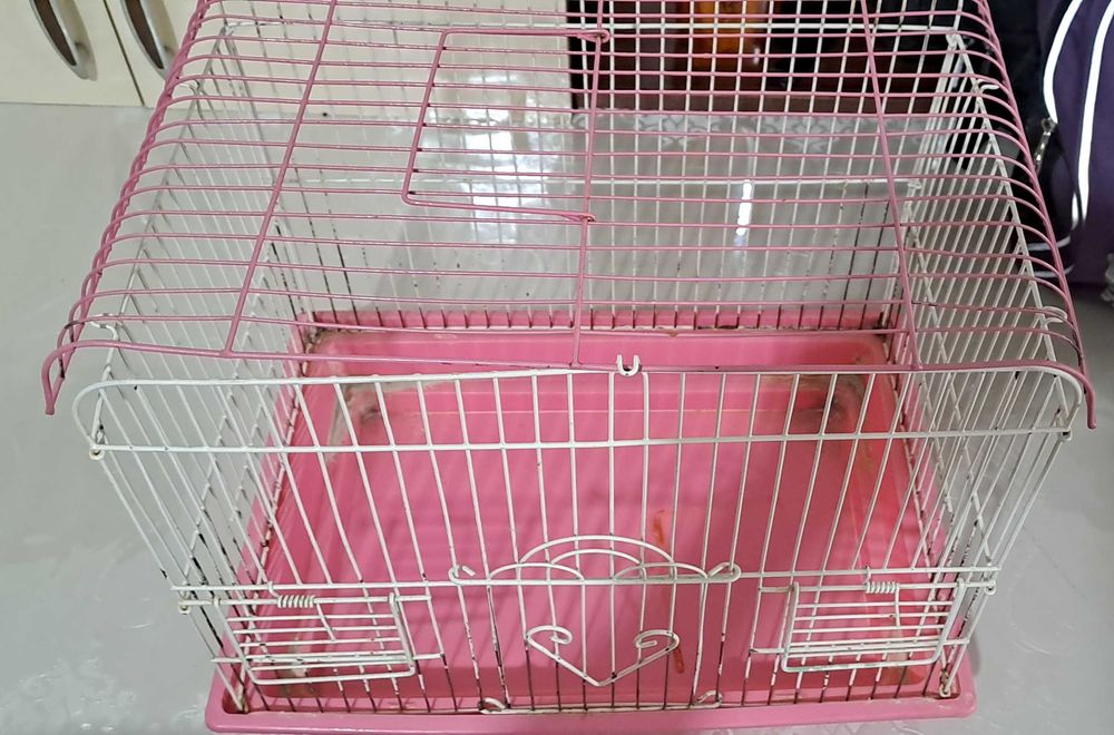 Клетка целая для птиц