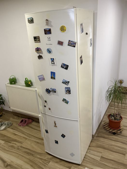 Vand frigider/combina frigorifică ELLECTROLUX