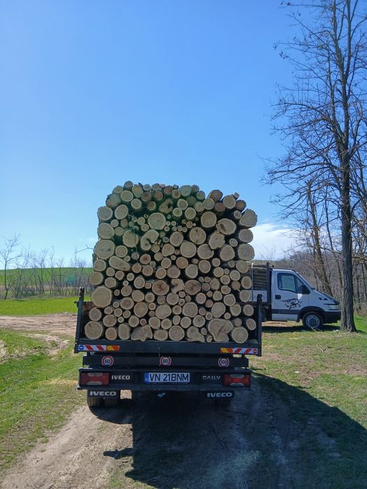 Vând lemn foc salcam și stejar