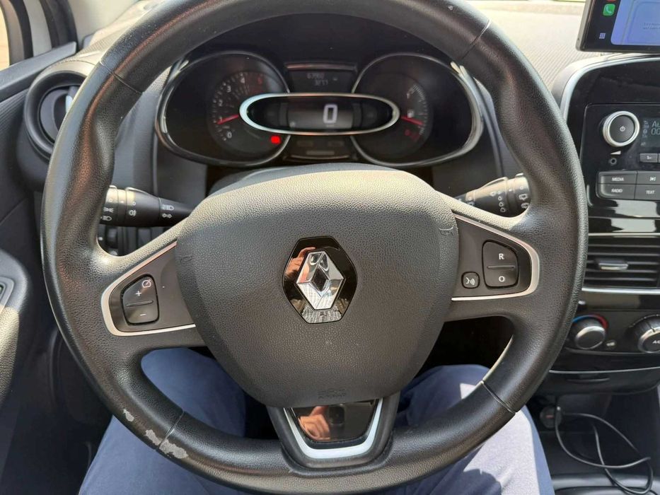 RENAULT 4 2019 — imagine 5