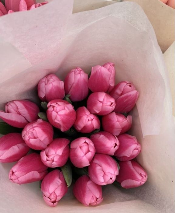 Тюльпаны •Астана