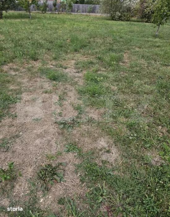 Teren intravilan 1.178 mp, Trivale, Pitesti