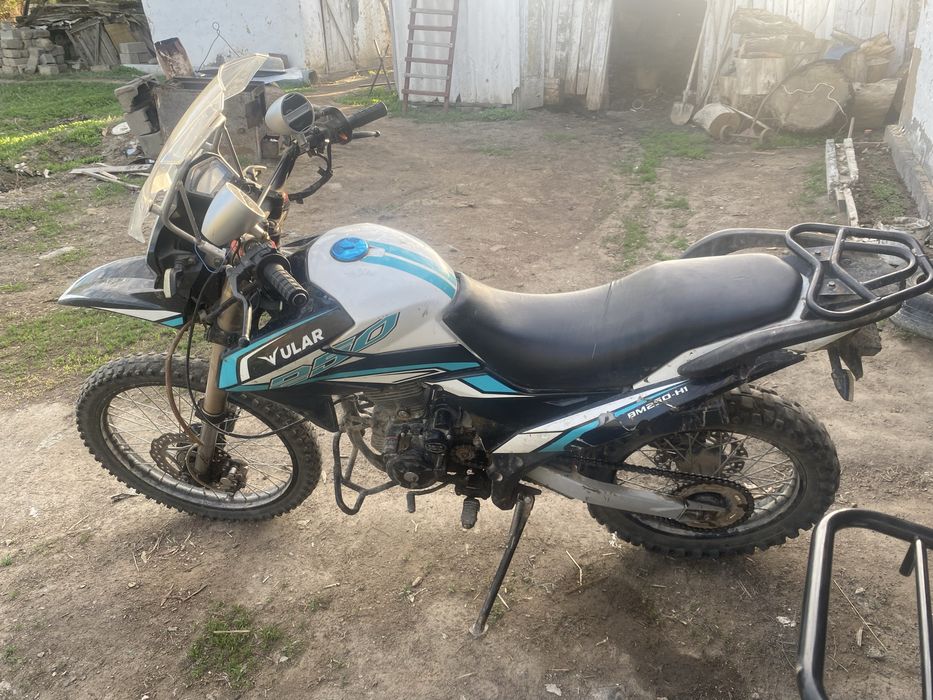 Ular  BM250-H1.