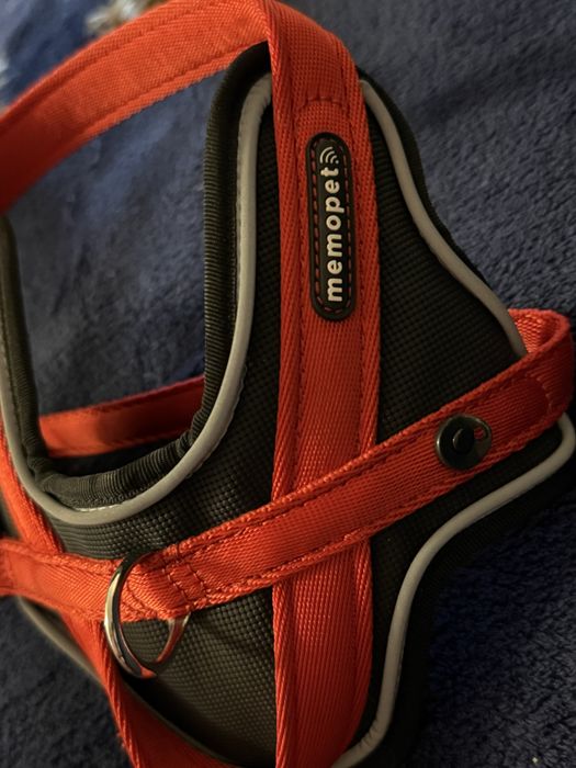 Ham caine MyFamily Memopet cu NFC